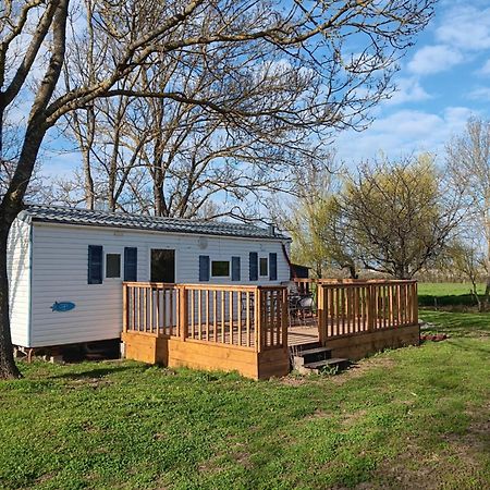Mobilhome Cosy Au Calme De La Campagne Lombez Екстериор снимка